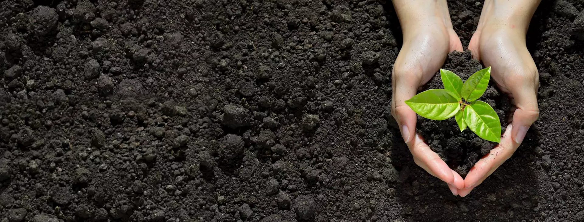 Committed towards regenerating the Humus layer of the soil