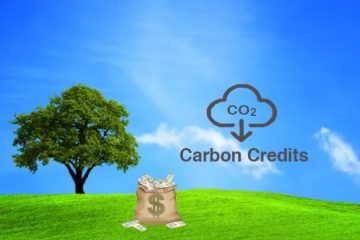 Carbon credits