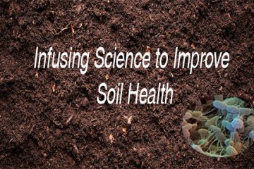 Unleashing the Power of Soil Microorganisms